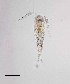  ( - PanCan-0086)  @11 [ ] by-nc-sa (2025) Smithsonian Tropical Research Institute Smithsonian Tropical Research Institute