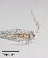  ( - PanCan-0086)  @11 [ ] by-nc-sa (2025) Smithsonian Tropical Research Institute Smithsonian Tropical Research Institute