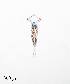  ( - PanCan-0087)  @11 [ ] by-nc-sa (2025) Smithsonian Tropical Research Institute Smithsonian Tropical Research Institute