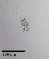  ( - PanCan-0140)  @11 [ ] by-nc-sa (2025) Smithsonian Tropical Research Institute Smithsonian Tropical Research Institute