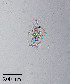  ( - PanCan-0140)  @11 [ ] by-nc-sa (2025) Smithsonian Tropical Research Institute Smithsonian Tropical Research Institute