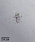  ( - PanCan-0140)  @11 [ ] by-nc-sa (2025) Smithsonian Tropical Research Institute Smithsonian Tropical Research Institute