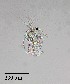  ( - PanCan-0140)  @11 [ ] by-nc-sa (2025) Smithsonian Tropical Research Institute Smithsonian Tropical Research Institute