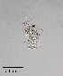  ( - PanCan-0140)  @11 [ ] by-nc-sa (2025) Smithsonian Tropical Research Institute Smithsonian Tropical Research Institute