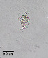  ( - PanCan-0142)  @11 [ ] by-nc-sa (2025) Smithsonian Tropical Research Institute Smithsonian Tropical Research Institute