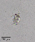  ( - PanCan-0142)  @11 [ ] by-nc-sa (2025) Smithsonian Tropical Research Institute Smithsonian Tropical Research Institute