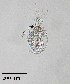  ( - PanCan-0142)  @11 [ ] by-nc-sa (2025) Smithsonian Tropical Research Institute Smithsonian Tropical Research Institute