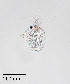  ( - PanCan-0142)  @11 [ ] by-nc-sa (2025) Smithsonian Tropical Research Institute Smithsonian Tropical Research Institute