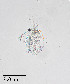  ( - PanCan-0142)  @11 [ ] by-nc-sa (2025) Smithsonian Tropical Research Institute Smithsonian Tropical Research Institute