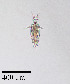  ( - PanCan-0158)  @11 [ ] by-nc-sa (2025) Smithsonian Tropical Research Institute Smithsonian Tropical Research Institute
