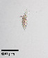 ( - PanCan-0158)  @11 [ ] by-nc-sa (2025) Smithsonian Tropical Research Institute Smithsonian Tropical Research Institute