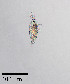  ( - PanCan-0158)  @11 [ ] by-nc-sa (2025) Smithsonian Tropical Research Institute Smithsonian Tropical Research Institute