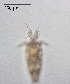  ( - PanCan-0158)  @11 [ ] by-nc-sa (2025) Smithsonian Tropical Research Institute Smithsonian Tropical Research Institute