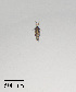  ( - PanCan-0158)  @11 [ ] by-nc-sa (2025) Smithsonian Tropical Research Institute Smithsonian Tropical Research Institute