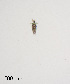  ( - PanCan-0158)  @11 [ ] by-nc-sa (2025) Smithsonian Tropical Research Institute Smithsonian Tropical Research Institute