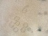  ( - 24-004b-2)  @11 [ ] Unspecified (default): All Rights Reserved (2024) Marco van Wieringen Unspecified