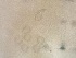  ( - 24-004b-2)  @11 [ ] Unspecified (default): All Rights Reserved (2024) Marco van Wieringen Unspecified