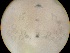  ( - 24-004b-2)  @11 [ ] Unspecified (default): All Rights Reserved (2024) Marco van Wieringen Unspecified