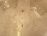  ( - 24-004b-2)  @11 [ ] Unspecified (default): All Rights Reserved (2024) Marco van Wieringen Unspecified