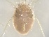  ( - 24-004b-2)  @11 [ ] Unspecified (default): All Rights Reserved (2024) Marco van Wieringen Unspecified