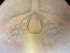  ( - 24-004b-3)  @11 [ ] Unspecified (default): All Rights Reserved (2024) Marco van Wieringen Unspecified