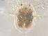  ( - 24-004b-3)  @11 [ ] Unspecified (default): All Rights Reserved (2024) Marco van Wieringen Unspecified