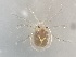  ( - 24-004b-3)  @11 [ ] Unspecified (default): All Rights Reserved (2024) Marco van Wieringen Unspecified