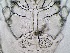  ( - 24-004b-3)  @11 [ ] Unspecified (default): All Rights Reserved (2024) Marco van Wieringen Unspecified