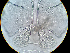  ( - 24-004b-3)  @11 [ ] Unspecified (default): All Rights Reserved (2024) Marco van Wieringen Unspecified