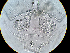 ( - 24-004b-3)  @11 [ ] Unspecified (default): All Rights Reserved (2024) Marco van Wieringen Unspecified