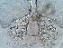  ( - 24-004b-3)  @11 [ ] Unspecified (default): All Rights Reserved (2024) Marco van Wieringen Unspecified