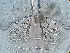  ( - 24-004b-3)  @11 [ ] Unspecified (default): All Rights Reserved (2024) Marco van Wieringen Unspecified