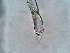  ( - 24-004b-3)  @11 [ ] Unspecified (default): All Rights Reserved (2024) Marco van Wieringen Unspecified