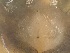  ( - 24-009b-3)  @11 [ ] Unspecified (default): All Rights Reserved (2024) Marco van Wieringen Unspecified
