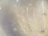  ( - 24-009b-3)  @11 [ ] Unspecified (default): All Rights Reserved (2024) Marco van Wieringen Unspecified