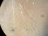  ( - 24-009b-3)  @11 [ ] Unspecified (default): All Rights Reserved (2024) Marco van Wieringen Unspecified