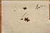  ( - EW45C07S10B)  @11 [ ] Copyright (2016) Eva Wu McGill University