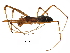  ( - BIOUG18636-F06)  @14 [ ] CreativeCommons - Attribution (2016) CBG Photography Group Centre for Biodiversity Genomics