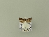  ( - BC ZSM Lep 90240)  @12 [ ] Unspecified (default): All Rights Reserved  Unspecified Unspecified
