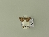  ( - BC ZSM Lep 90241)  @12 [ ] Unspecified (default): All Rights Reserved  Unspecified Unspecified