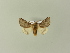  ( - BC ZSM Lep 90246)  @12 [ ] Unspecified (default): All Rights Reserved  Unspecified Unspecified