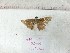  ( - 26EOPlgH52)  @11 [ ] No Rights Reserved (2018) K.Goonesekera Open University of Sri Lanka