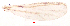  ( - song156)  @12 [ ] Copyright (2015) Chao Song Nankai University