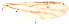  ( - song157)  @12 [ ] Copyright (2015) Chao Song Nankai University