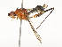  ( - CBG-A67010-B03)  @11 [ ] CreativeCommons - Attribution Share - Alike (2025) CBG Photography Group Centre for Biodiversity Genomics