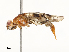  ( - CBG-A67010-B04)  @11 [ ] CreativeCommons - Attribution Share - Alike (2025) CBG Photography Group Centre for Biodiversity Genomics