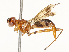  ( - CBG-A67010-F10)  @11 [ ] CreativeCommons - Attribution Share - Alike (2025) CBG Photography Group Centre for Biodiversity Genomics