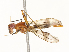  ( - CBG-A67010-F12)  @11 [ ] CreativeCommons - Attribution Share - Alike (2025) CBG Photography Group Centre for Biodiversity Genomics