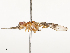  ( - CBG-A67011-A02)  @11 [ ] CreativeCommons - Attribution Share - Alike (2025) CBG Photography Group Centre for Biodiversity Genomics