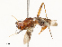  ( - CBG-A67794-B12)  @11 [ ] CreativeCommons - Attribution Share - Alike (2025) CBG Photography Group Centre for Biodiversity Genomics